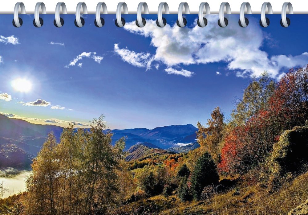 noviembre23-01_red